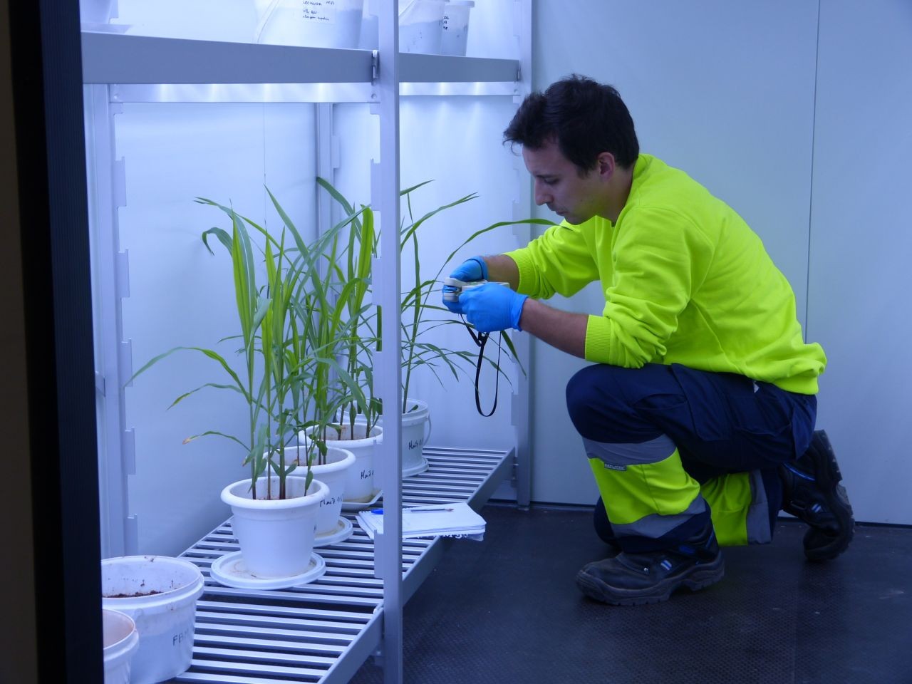 Realizando mediciones en la cámara del laboratorio